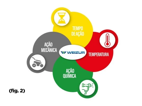 Figura 1 - CIP