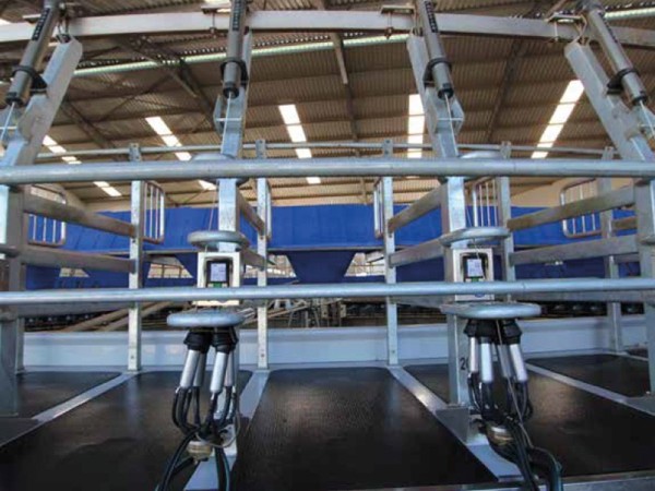 Ordenhadeira Rotativa Waikato Centrus 2
