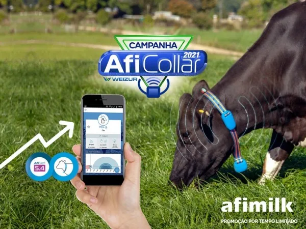 Artigo Afimilk Rumen