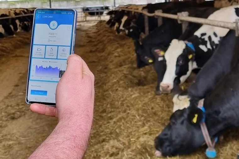 AfiFarm: Gestão da Fazenda no Seu Bolso