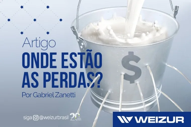Onde estão as perdas?