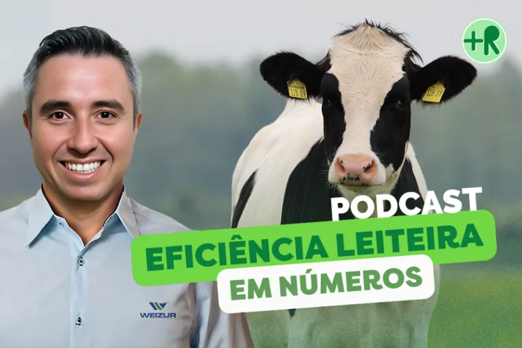 Tecnologia AFIMILK para Monitoramento de Rebanhos é Destaque com Gabriel Zanetti no Podcast +RUMEN