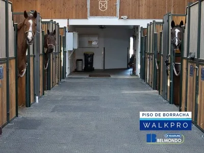 Piso de Borracha para Equinos Belmondo Walkpro Weizur