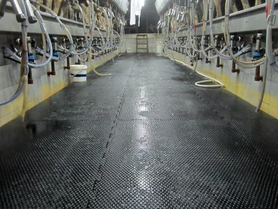 Piso Ergomilk Kraiburg para Sala de Ordenha