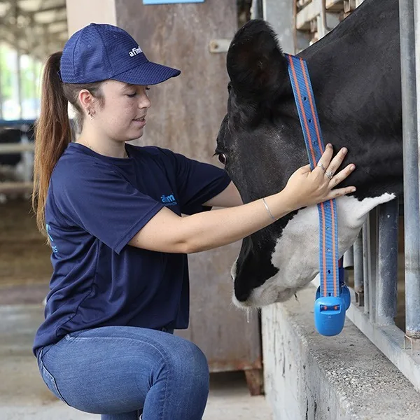 Colar Monitora Bem Estar Animal do Rebanho