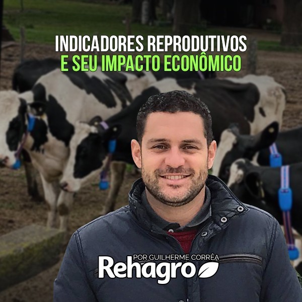 Indicadores Reprodutivos e seu Impacto Econômico